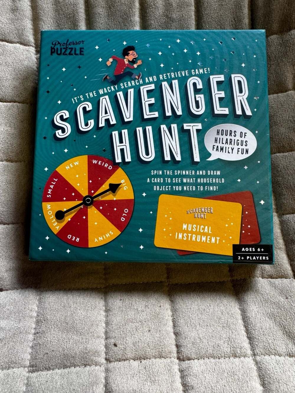 Professor Puzzle Scavenger Hunt Family Fun Search and Retrieve Game